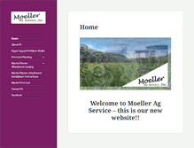 Tablet Screenshot of moelleragservice.com